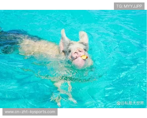 巴哈马游泳队在国际赛场表现优异，巴哈马运动员