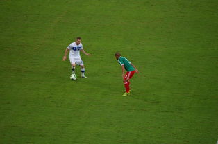 开云体育下载官网-国乒奖金出炉，王艺迪喜提28万成大赢家！陈幸同仅获3万，奖金分配引热议