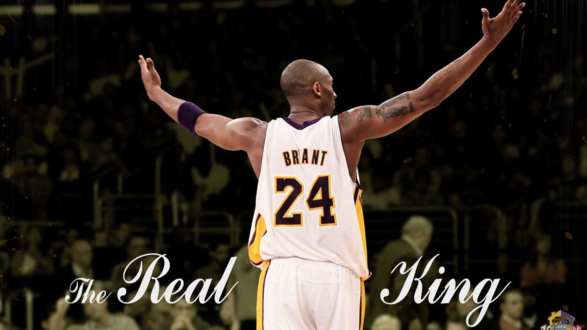 掘金队多点开花，冲击西部冠军，掘金队现在叫什么